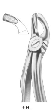  Fig. 19 upper third molars 